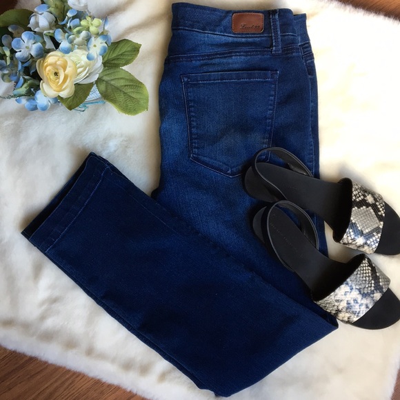 Anthropologie Denim - Anthro Level 99 Lily Crop Skinny Straight Jeans